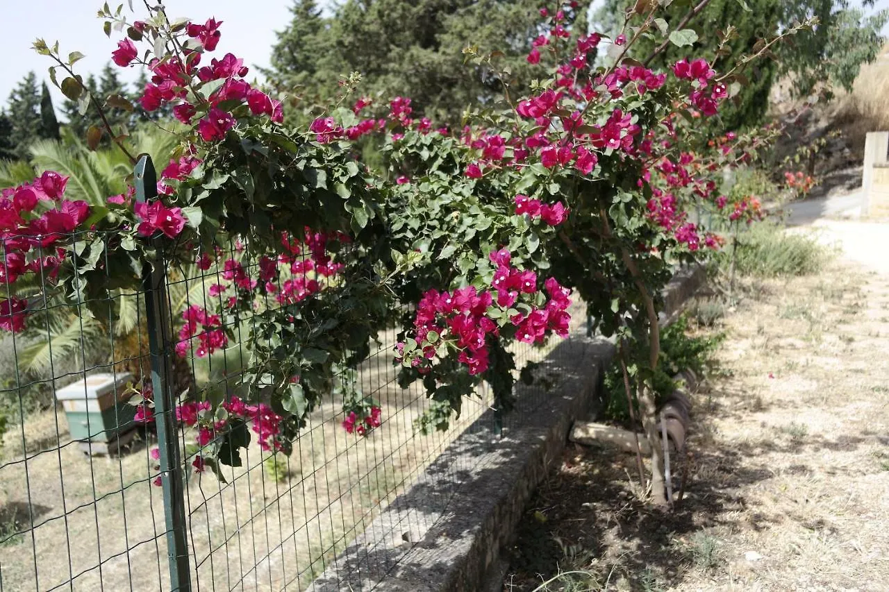 B&B Il Ficodindia Santa Ninfa 0*,  Italy