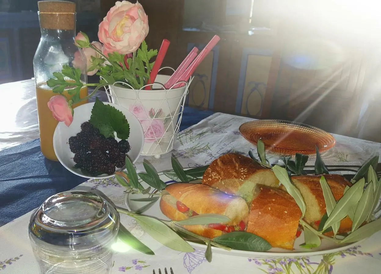 B&B Il Ficodindia Santa Ninfa Bed & Breakfast